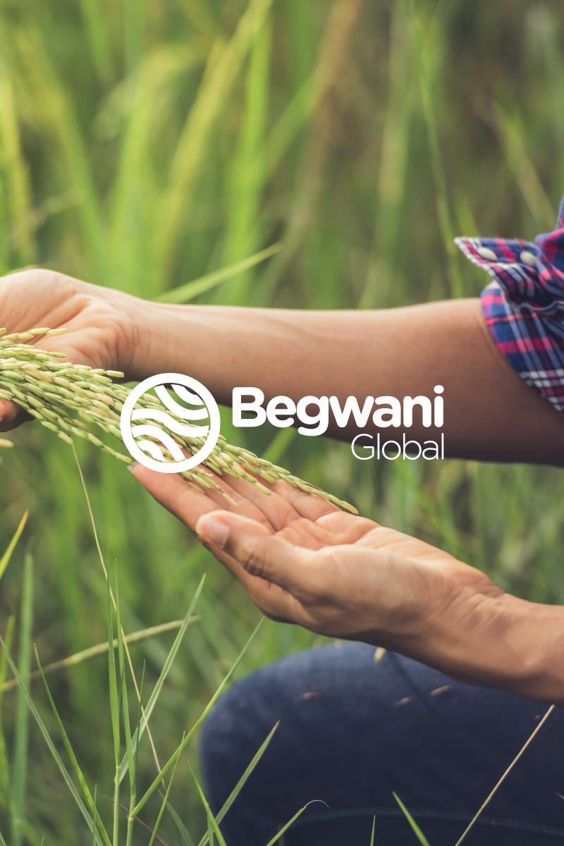 Begwani Global